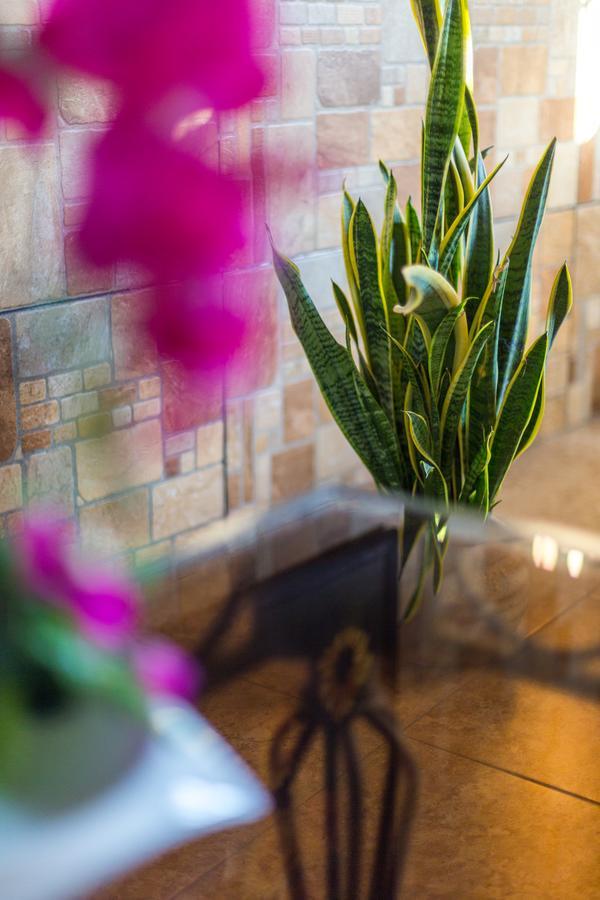 Merida Serviced Apartments Extérieur photo